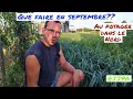 Que faire en septembre au potager de julien ???