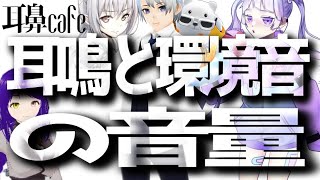 【耳鼻科医者の最新健康情報】【耳鳴りと環境音･ノイズの音量】研究論文解説｜耳鼻科医師VTuber