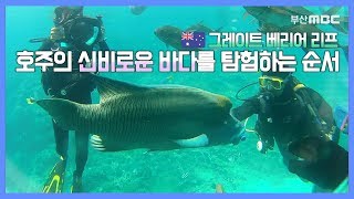 [Australia 2-3] 호주의 신비로운 바다를 탐험하는 순서를 알려주지