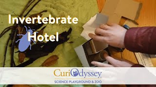 Community Science Pt 3. - Invertebrate Hotel