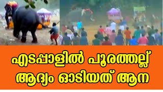 എടപ്പാളിൽ പൂരത്തല്ല് | ആദ്യം ഓടിയത് പൂരത്തിനെത്തിയ ആന