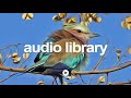 Chubs - Quincas Moreira | No Copyright Music YouTube - Free Audio Library