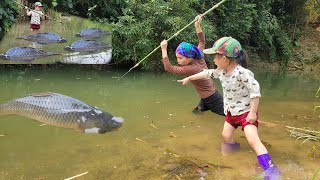 Meet giant fish. The girl uses hooks and earthworms to make fishing bait. Catch a lot of giant fish