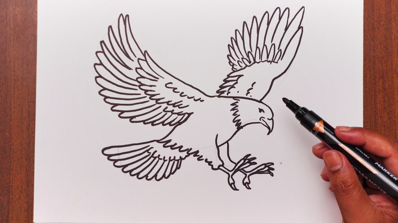 Easy Eagle Drawing Eagle Drawing Tutorial How To Draw Easy