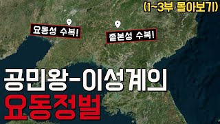 위화도 회군 전, 진짜 요동정벌이 있었다(Feat. 공민왕, 이성계)