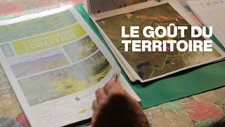 La récolte de bois en forêt privée | Le goût du territoire