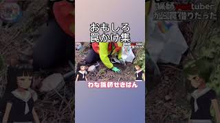 本編はコメント欄から！【狩猟 くくり罠 Vtuber 自然 自給自足 田舎暮らし イノシシ エゾシカ #hunter 】 #hunting