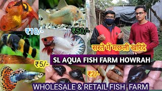 CHEAPEST AND FISH FARM HOWRAH BARGACHIA | RAIKIN RANCHU GOLDFISH MOLLY BETTA | WHOLESALE \u0026 RETAIL