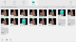 Rename Notecards, Favorites, and Folders | Human Anatomy Atlas for zSpace