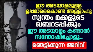 ഈ അടയാളമുള്ള ഉപ്പമാരെകൊണ്ട് അള്ളാഹു സ്വന്തം മക്കളുടെ ഖബറടപ്പിക്കും.ഞെട്ടിക്കുന്ന അറിവ്.