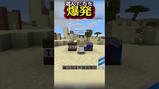 右左どっち？選んだTNTを爆発させてみたら...【まいくら / マインクラフト】【#shorts