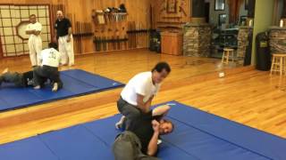 Hanshi Takamine, Uchi Te  Ryu. Okinawan martial arts