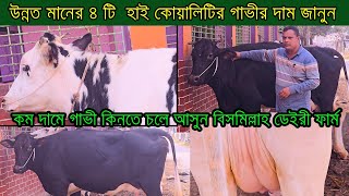 কম দামে ৪ টি অসাধারণ গাভী সংগ্রহ করেন  কেরানীগঞ্জ ঢাকা থেকে ।কম দামে গরু কিনুন ।