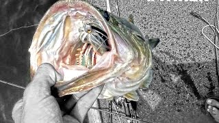 Fishing the Gambler HC Swim Jig