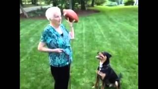 Grandma Vs  Dog 👵🐶   Vine by Ross Smith Funny 7 Second Video