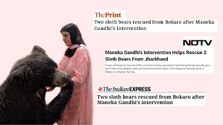 Sloth Bears Rescued after Smt. Maneka Gandhi's intervention- People for Animals