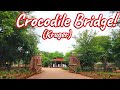 Crocodile Bridge Rest Camp! Ep 442