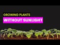 Growing Food Without Sunlight  | Future Technology & Science News 187