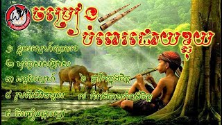 សម្លេងខ្លុយខ្មែរ ពិរោះរណ្តំ បំពេរអារម្មណ៍ពេលរាត្រី