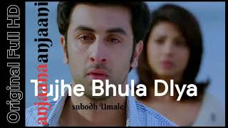Tujhe Bhula Diya | anjaana anjaani | Sad song  | Ranbir Kapoor and Priyanka Chopra | Mohit Chauhan.