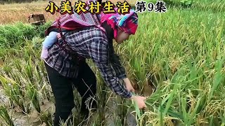 原配被丈夫小三欺负被赶出住山洞，偷偷回去拿衣物，打工为持生计