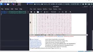 Reverse shell attack (buffer overflow attack) against vulnserver chat server