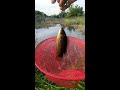 ตกปลาเล็กด้วยชุดตกทุ่นแคปซูล micro fishing 😊🎣