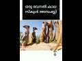 ഇതൊക്കെ ഒരു കാലം 😂 subscribe funny youtubeshorts