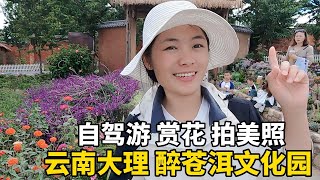 自驾游云南大理，赏花看洱海拍美照，这个小众旅行地，你去过吗？#西藏 #travel #旅行 #美女