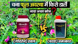 Chana ke liye Best PGR | चना फुल अवस्था में किसे डालें गोदरेज डबल या घरडा चमत्कार chana ki kheti