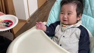 【離乳食46日目】初めてのじゃがいも【生後6ヶ月】