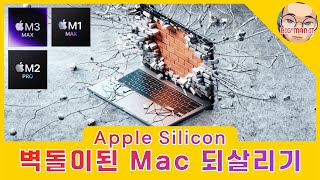 벽돌이 된 Apple Silicon Mac 되살리기와 복원하기 - DFU 모드 진입 방법과 복구 방법, #54