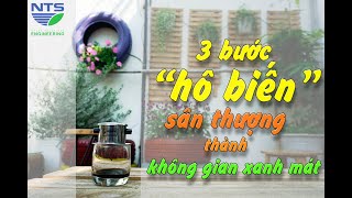 3 Bước Hô Biến Sân Thượng Thành Không Gian Xanh Mát