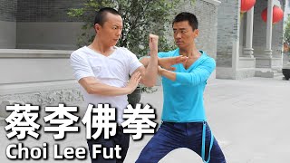 Choi Lee Fut (2011) 480P Action martial arts and its joy!