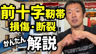 前十字靭帯の役割、断裂してしまう原因、スポーツ復帰には手術が必要なのか？スポーツトレーナーの視点から簡単に解説します！