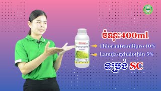 #លំពែងអង្គរជំនាញកំចាត់ដង្កូវបំផ្លាញដំណាំ