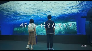 神尾楓珠、ゲイであることを隠して山田杏奈と水族館・遊園地・お祭りデート　映画「彼女が好きなものは」特報