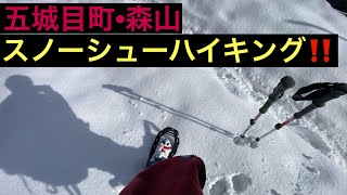 【秋田でスノーシューハイキング】五城目町の森山へ行って来ました‼️