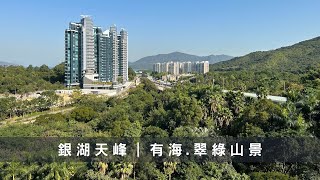 烏溪沙銀湖天峰 7座低層D室｜三房一套 924尺｜有山有海