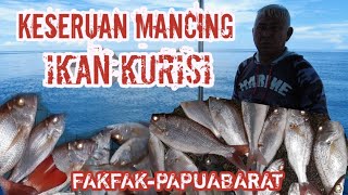 KESERUAN MANCING IKAN KURISI, PESTA STRIKE Fakfak-PapuaBarat (17/10/21) AY_FISHING