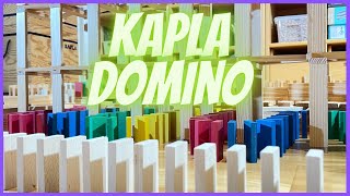 Intense Kapla Domino Chainreaction setup SATISFYING Destruction #domino #satisfying #chainreaction