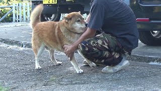 イチの異常、の記録