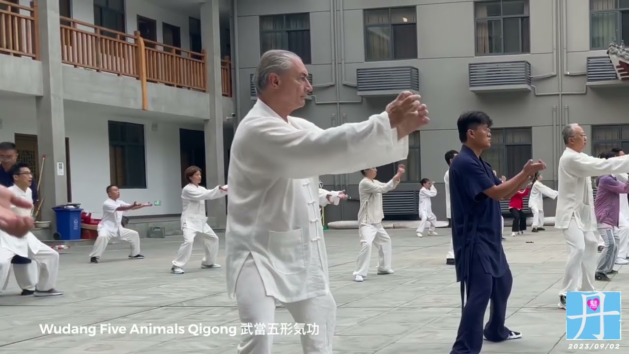 Wudang Daoist Five Animals Qigong Morning Session 武當道家五行気功晨練 - YouTube