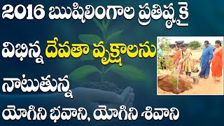 2016 ఋషిలింగాల ప్రతిష్ఠకై విభిన్న దేవతా వృక్షాలను నాటుతున్న యోగిని భవాని, యోగిని శివాని