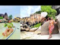 VLOG SEYCHELLES ON A BUDGET Mes Vacances à Petit Budget, Meilleure Expérience Airbnb