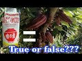 Nakapagpadami ng bunga sa CACAO ang VITSIN | Simply Springbell