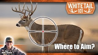 Tips on Where to Shoot a Deer