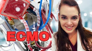 ICU Doctor explains ECMO || Life Support