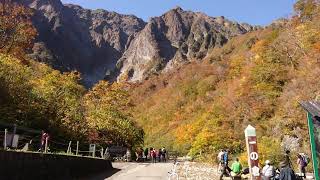 谷川岳 一ノ倉沢の紅葉  2019.10.28