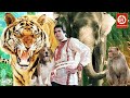 Rajesh Khanna (HD)- New Blockbuster Full Hindi Bollywood Film, Love Story Film | Haathi Mere Saathi